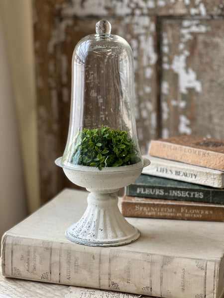 Arrington Cloche | 14.75" | NOT CURRENTLY IN STOCK-New For Spring 2026!