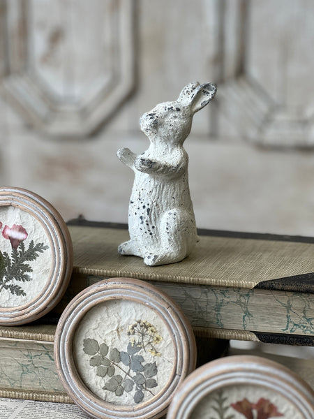 Muffie Rabbit | 5" | NOT CURRENTLY IN STOCK-New For Spring 2026!