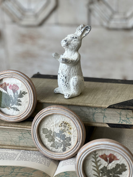 Muffie Rabbit | 5" | NOT CURRENTLY IN STOCK-New For Spring 2026!