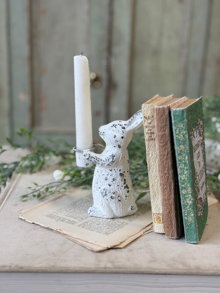 Cottontail Holder | 5.25" | NOT CURRENTLY IN STOCK-New For Spring 2027!