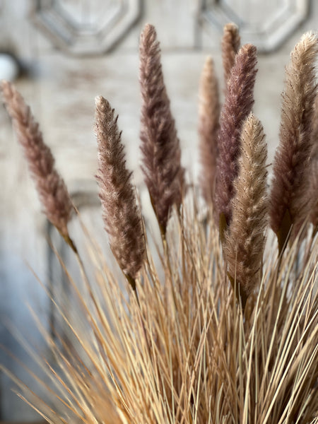 Catty Cattails Pot | 31" | Limited Stock - Last 12pcs! (Will be discontinued for Fall 2026)