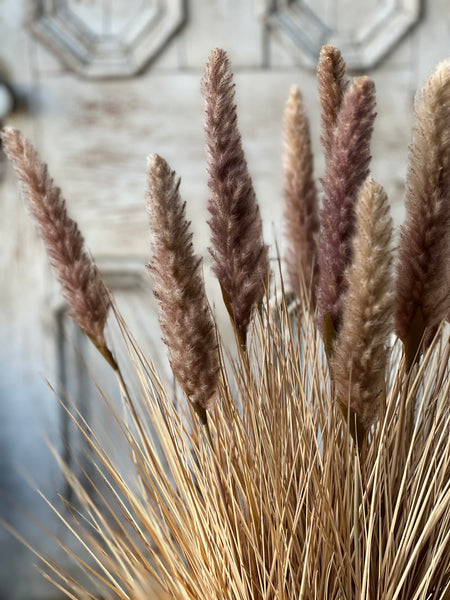 Catty Cattails Pot | 31" | Limited Stock - Last 12pcs! (Will be discontinued for Fall 2026)