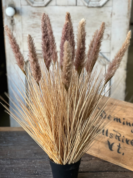Catty Cattails Pot | 31" | Limited Stock - Last 12pcs! (Will be discontinued for Fall 2026)