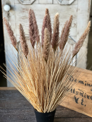 Catty Cattails Pot | 31" | Limited Stock - Last 12pcs! (Will be discontinued for Fall 2026)
