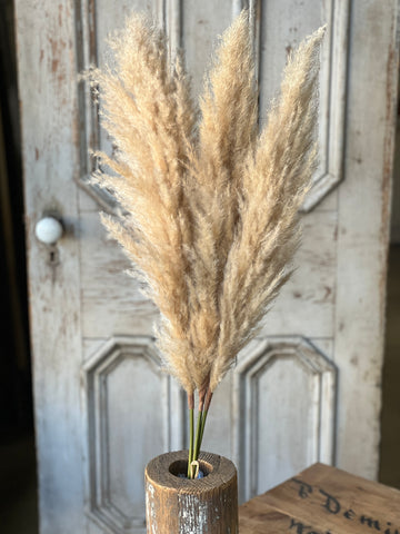 Hattie Pampas Bundle | 43" | Buff | CLEAN UP SPECIAL!  From $8.95 - Last 18pcs!