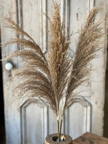 Hattie Pampas Bundle | 43" | Russet | Limited Stock - Last 144pcs!