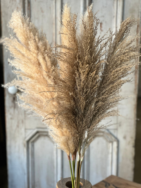 Hattie Pampas Bundle | 43" | Russet | Limited Stock - Last 144pcs!