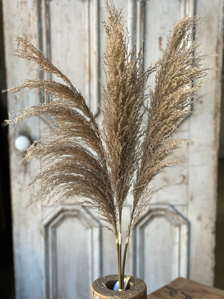 Hattie Pampas Bundle | 43" | Russet | Limited Stock - Last 144pcs!