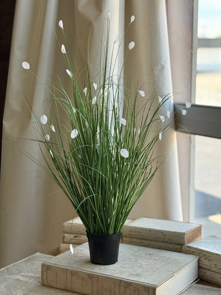 Andover Grass | 29.5" | NOT CURRENTLY IN STOCK-New For Spring 2027!