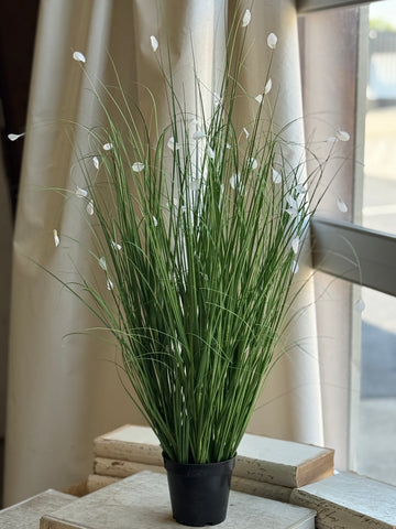 Andover Grass | 37" | NOT CURRENTLY IN STOCK-New For Spring 2027!