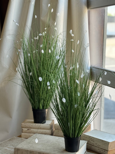 Andover Grass | 29.5" | NOT CURRENTLY IN STOCK-New For Spring 2027!