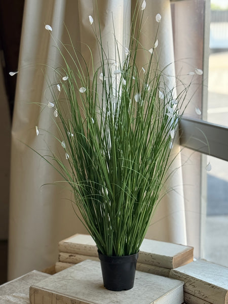 Andover Grass | 37" | NOT CURRENTLY IN STOCK-New For Spring 2027!