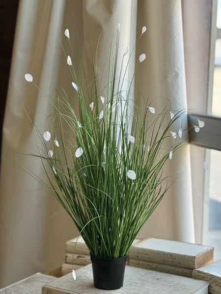 Andover Grass | 29.5" | NOT CURRENTLY IN STOCK-New For Spring 2027!
