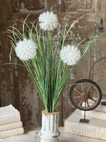 Windborn Wishes Bush | 29.5" | NOT CURRENTLY IN STOCK-New For Spring 2027!
