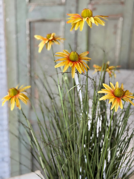Virtue Coneflower Pot | 32.5" | Sunburst | NOT CURRENTLY IN STOCK-New For Spring 2027!