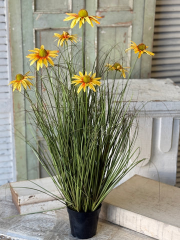 Virtue Coneflower Pot | 32.5" | Sunburst | NOT CURRENTLY IN STOCK-New For Spring 2027!