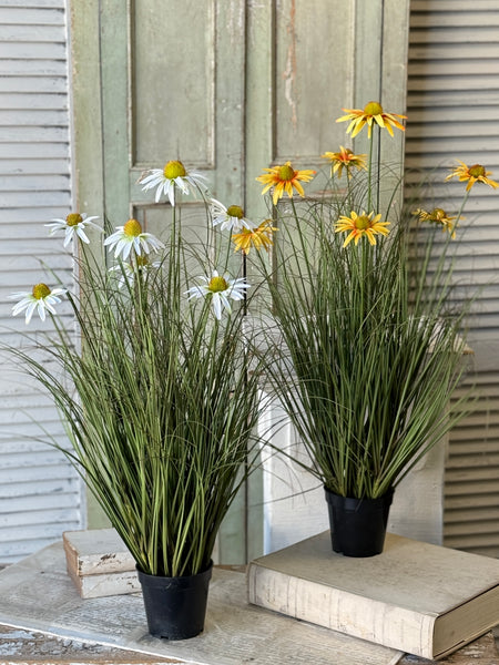 Virtue Coneflower Pot | 32.5" | Sunburst | NOT CURRENTLY IN STOCK-New For Spring 2027!