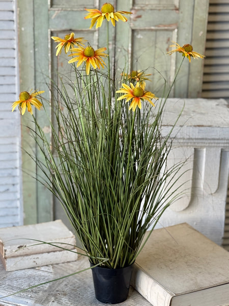 Virtue Coneflower Pot | 32.5" | Sunburst | NOT CURRENTLY IN STOCK-New For Spring 2027!