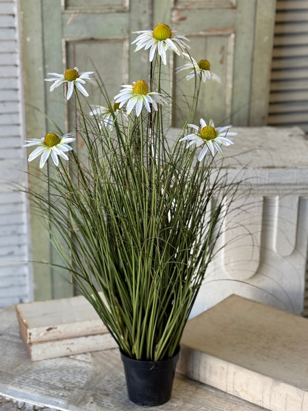 Virtue Coneflower Pot | 32.5" | White | NOT CURRENTLY IN STOCK-New For Spring 2027!