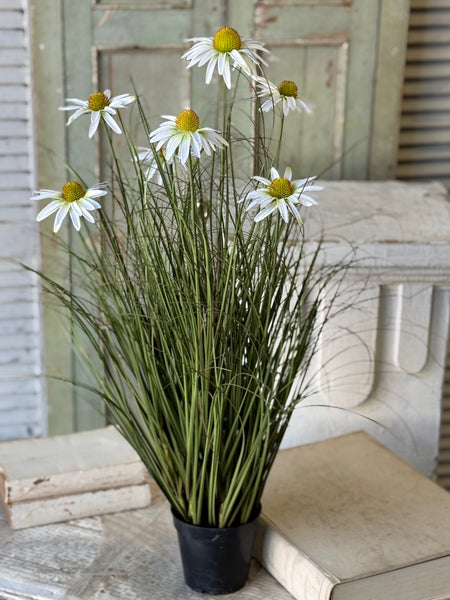 Virtue Coneflower Pot | 32.5" | White | NOT CURRENTLY IN STOCK-New For Spring 2027!