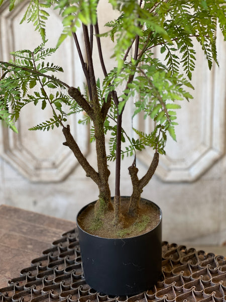 Hillside Grove Tree | 33" | NOT CURRENTLY IN STOCK - ETA December