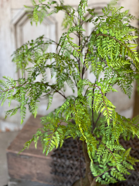 Hillside Grove Tree | 33" | NOT CURRENTLY IN STOCK - ETA December