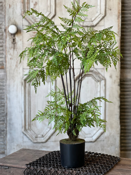 Hillside Grove Tree | 25" | NOT CURRENTLY IN STOCK - ETA December