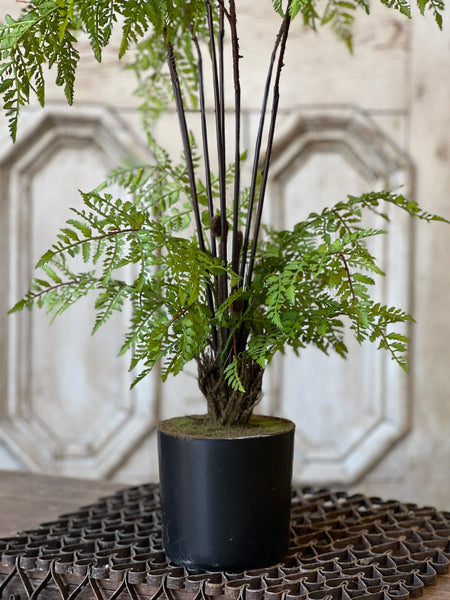 Hillside Grove Tree | 25" | NOT CURRENTLY IN STOCK - ETA December