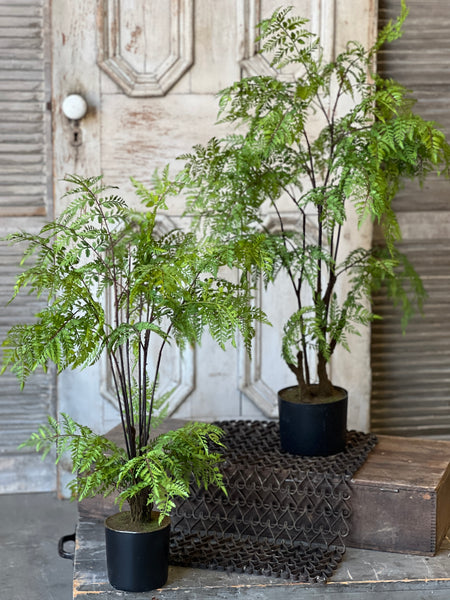 Hillside Grove Tree | 33" | NOT CURRENTLY IN STOCK - ETA December