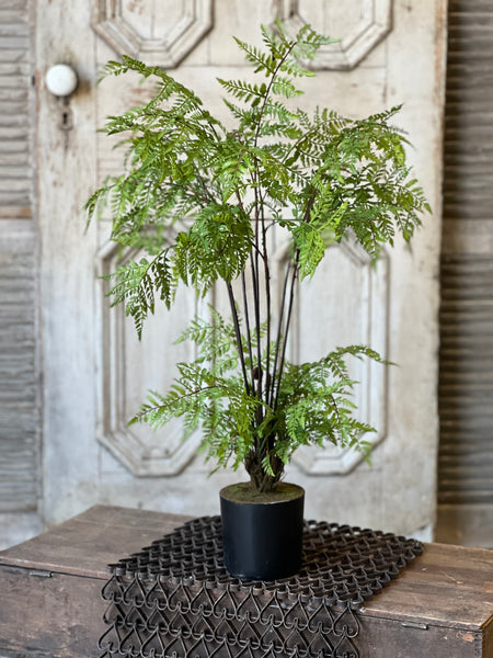 Hillside Grove Tree | 25" | NOT CURRENTLY IN STOCK - ETA December