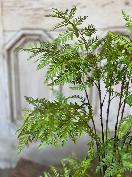 Hillside Grove Tree | 25" | NOT CURRENTLY IN STOCK - ETA December