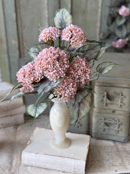 Roseate Frills Bush | 15" | NOT CURRENTLY IN STOCK-New For Spring 2027!