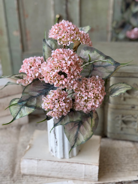 Roseate Frills Bush | 15" | NOT CURRENTLY IN STOCK-New For Spring 2027!