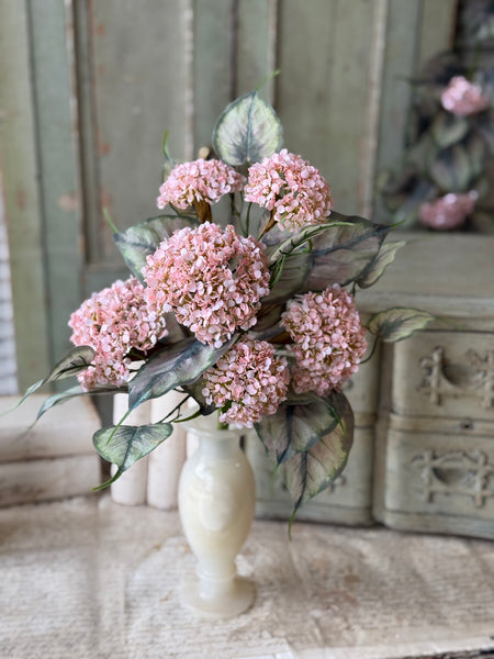 Roseate Frills Bush | 15" | NOT CURRENTLY IN STOCK-New For Spring 2027!