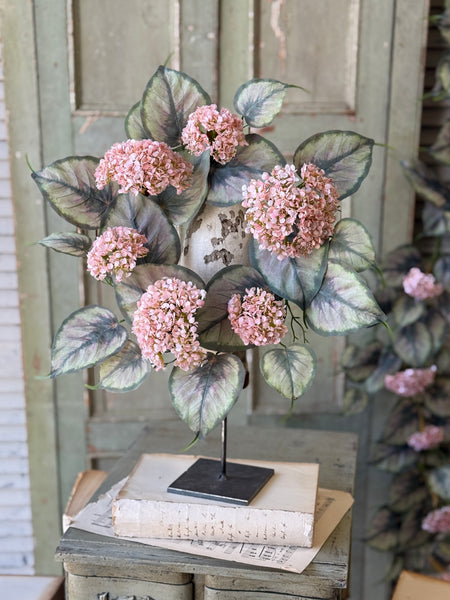 Roseate Frills Candle Ring | 15" | NOT CURRENTLY IN STOCK-New For Spring 2027!