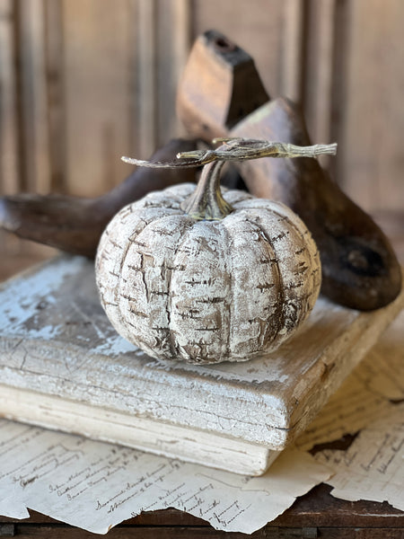 White Birch Pumpkin | 6" | SOLD OUT