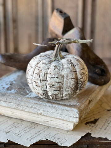 White Birch Pumpkin | 6" | SOLD OUT