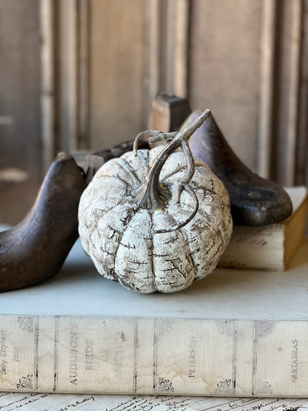White Birch Pumpkin | 6" | SOLD OUT