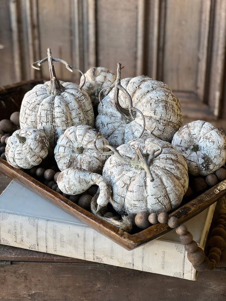White Birch Pumpkin | 6.75" | SOLD OUT