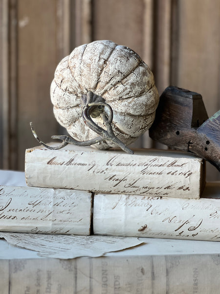 White Birch Pumpkin | 6" | SOLD OUT