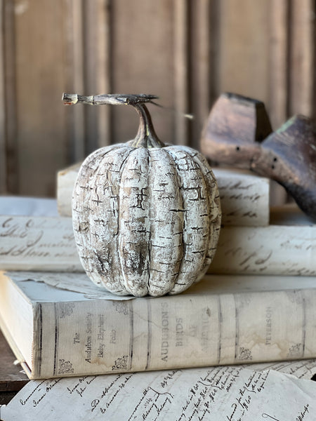 White Birch Pumpkin | 8" | SOLD OUT