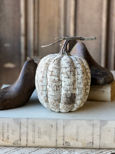 White Birch Pumpkin | 8" | SOLD OUT