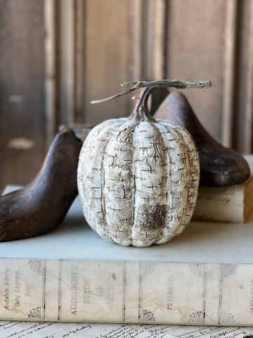 White Birch Pumpkin | 8" | SOLD OUT