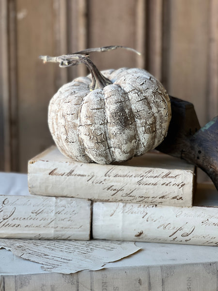 White Birch Pumpkin | 6.75" | SOLD OUT