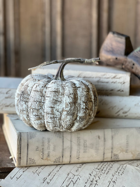 White Birch Pumpkin | 6.75" | SOLD OUT