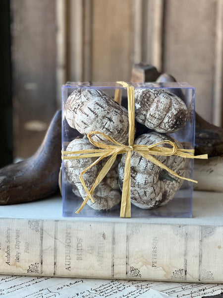 White Birch Pumpkins | 5pcs Boxed