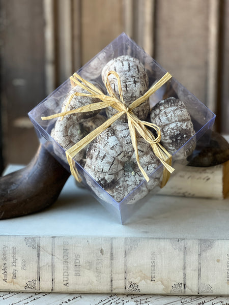 White Birch Pumpkins | 5pcs Boxed