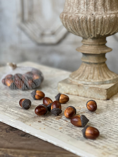Oakwood Acorns (24pcs in bag) | SOLD OUT