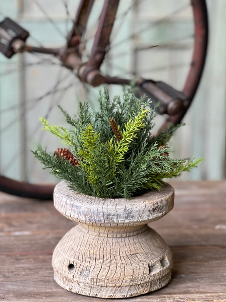 Prickly Pine Half Sphere | 9" | SOLD OUT