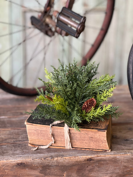 Prickly Pine Half Sphere | 9" | SOLD OUT